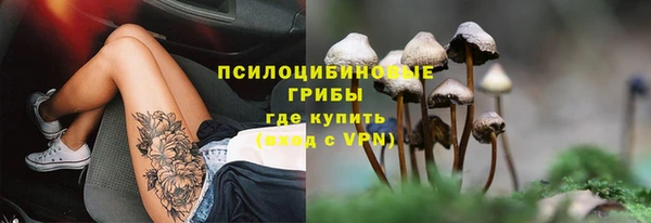 амф Алзамай
