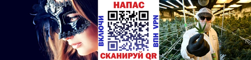 где купить наркоту  Кольчугино  Бошки марихуана тримм 